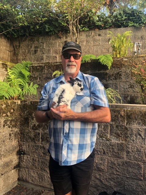 Blessing of the Animals in honor of Saint Francis of Assisi